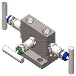TTS Manifolds - TTS-304T-32B11