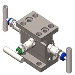 TTS Manifolds - TTS-304T-32F11