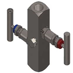 TTS Manifolds - TTS-306T-22BB11