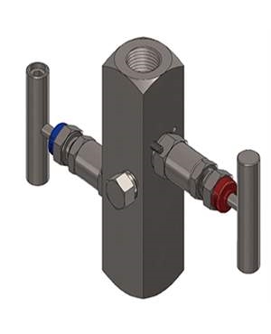 TTS Manifolds - TTS-306T-22BB11
